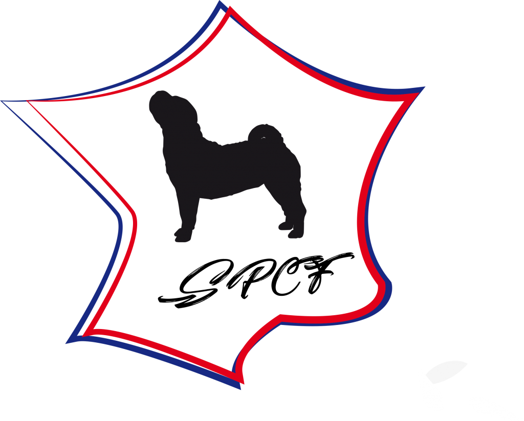 spcf logo2020